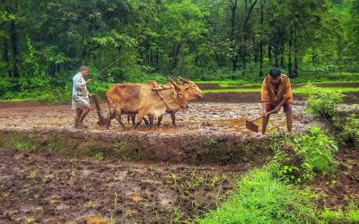 Budget 2016-17: Farmers Have Got Their Due Share <Swarajyam Article>