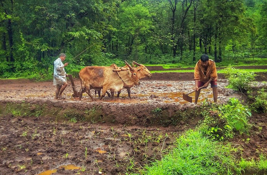 Budget 2016-17: Farmers Have Got Their Due Share <Swarajyam Article>