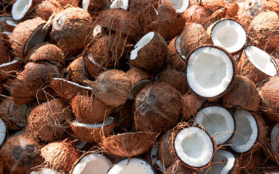 Growth, Instability And Trends In Area, Production And Productivity Of Coconuts In India