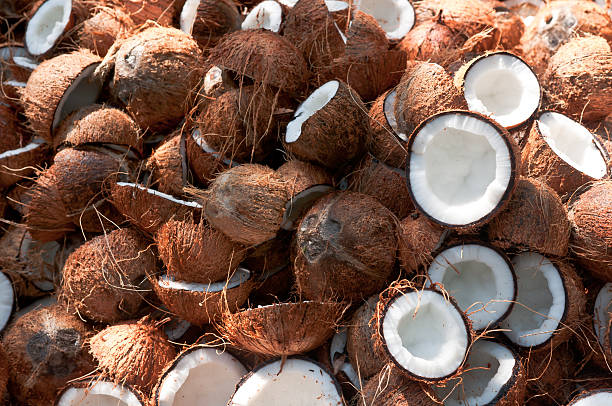 Growth, Instability And Trends In Area, Production And Productivity Of Coconuts In India